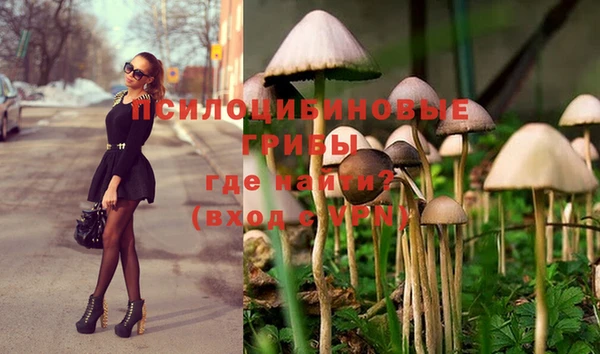 соль курить ск Михайлов