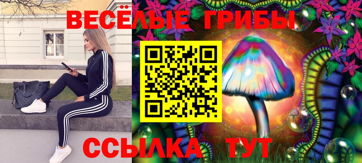 Псилоцибиновые грибы прущие грибы Туймазы