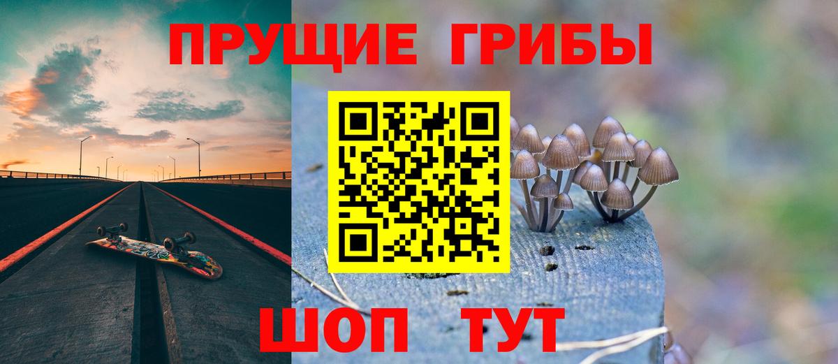 Псилоцибиновые грибы Psilocybe  Псилоцибиновые грибы GOLDEN TEACHER  Вход с VPN  Туймазы 